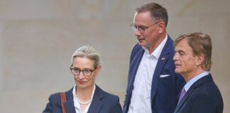 Alice Weidel,