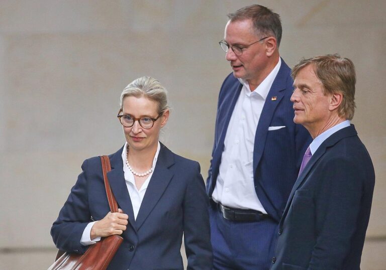 Alice Weidel,
