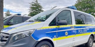 Polizeiauto (Archiv)