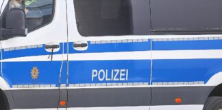 Polizeiauto (Archiv)