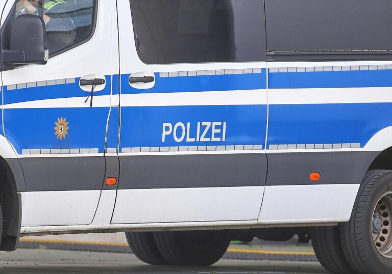 Polizeiauto (Archiv)