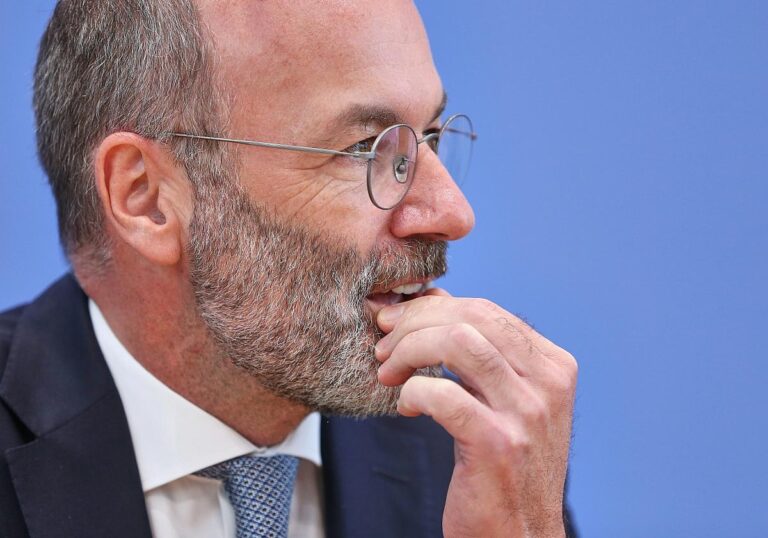 Manfred Weber