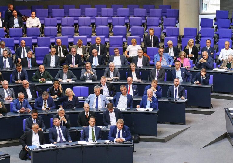 AfD-Fraktion (Archiv)