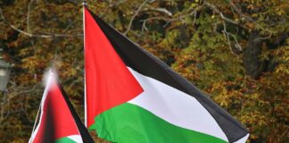 Palästinenser-Flaggen (Archiv)