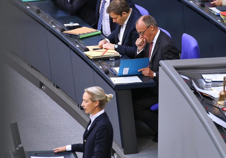 Alice Weidel,