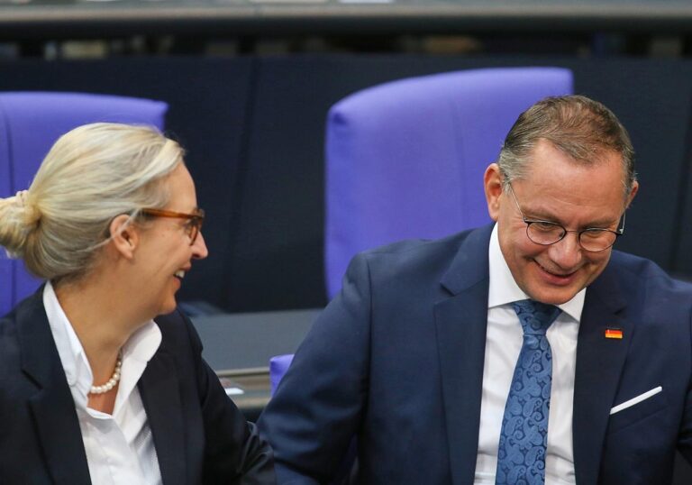 Alice Weidel