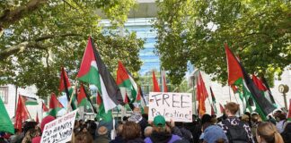 Pro-Palästina-Demo in