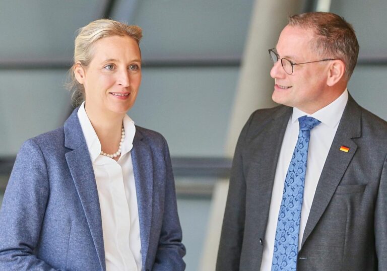 Alice Weidel
