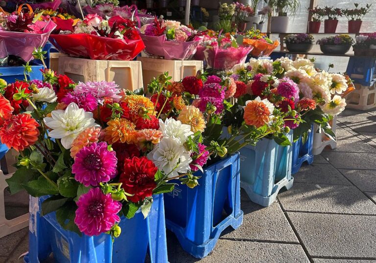 Blumen in