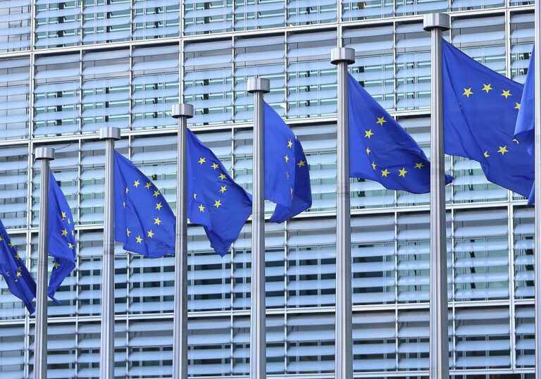 EU-Fahnen (Archiv)