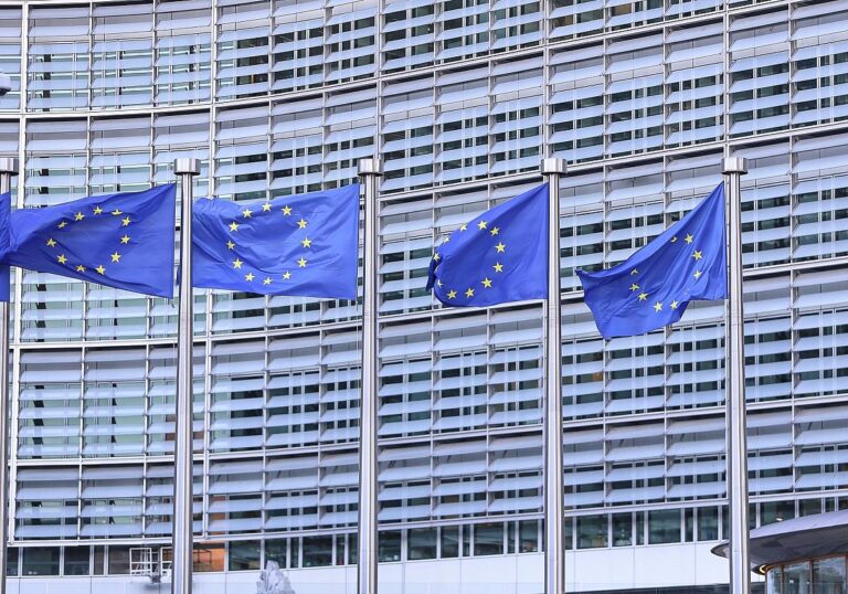 EU-Fahnen (Archiv)