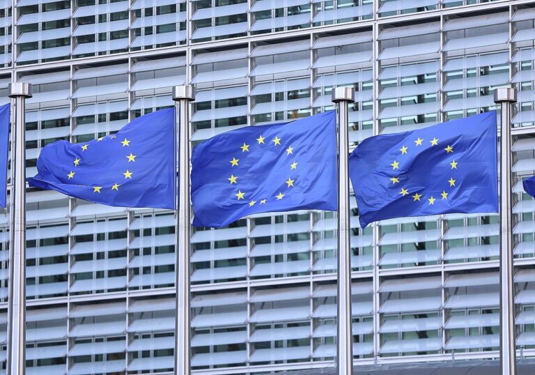 EU-Fahnen (Archiv)
