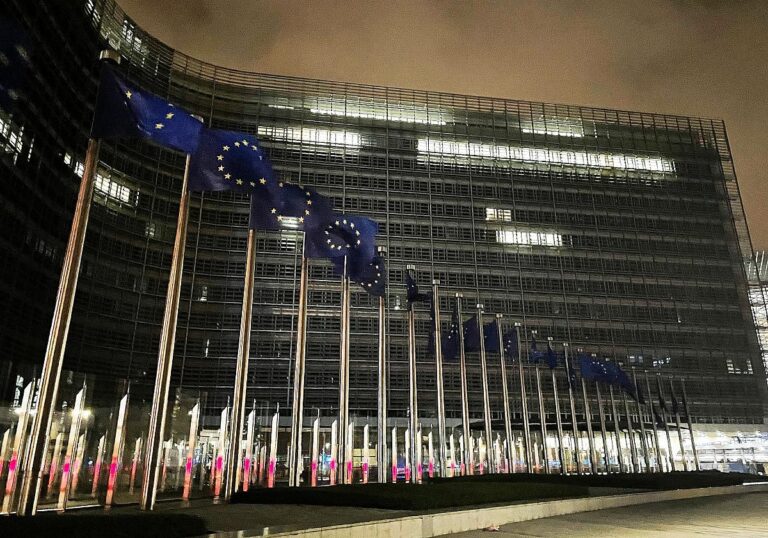 EU-Fahnen (Archiv)