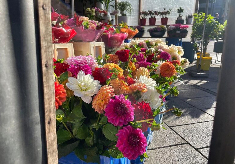 Blumen in
