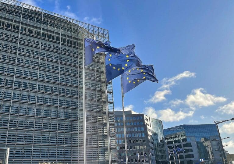 EU-Fahnen (Archiv)