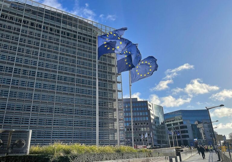 EU-Fahnen (Archiv)