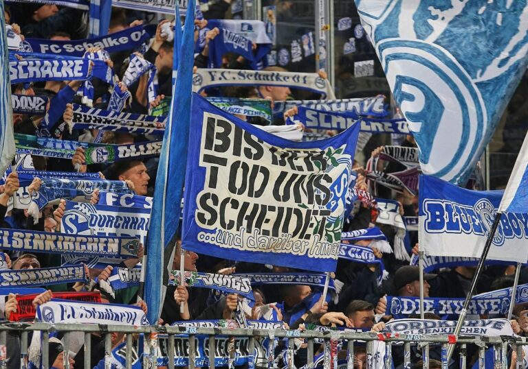 Fans von