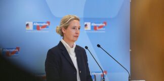 Alice Weidel