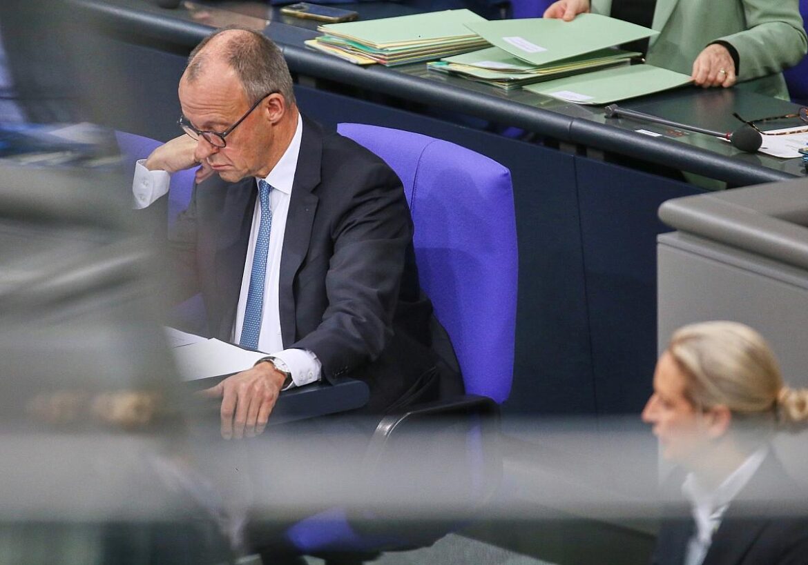 Friedrich Merz
