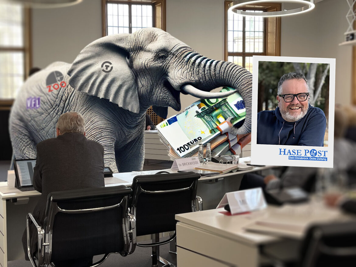 Elefant im Ratssitzungssaal