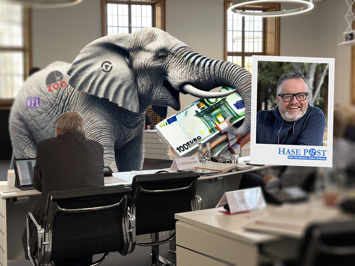 Elefant im Ratssitzungssaal