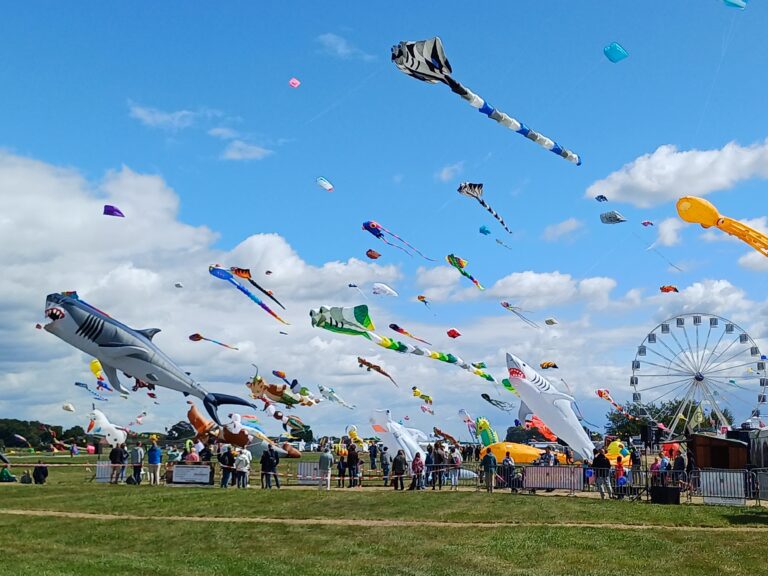 Drachenfest Melle 2025