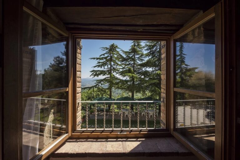 Blick aus dem Fenster auf einen Wald
