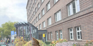 Gefällter Baum vor dem Stadthaus Osnabrück