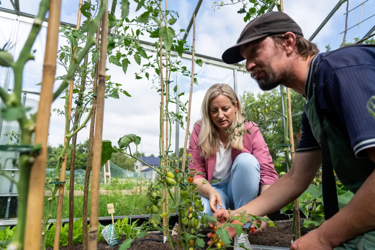 Neues Gewächshaus der Werkstatt Wallenhorst
