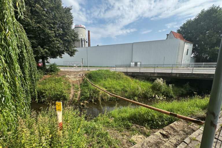 Die aus Holz gefertigte Brücke war marode. / Foto: Niklas Otten