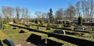Soll eine neue Gestaltung ohne Hecken erhalten: der alte Teil des Friedhofes im Stadtteil Harderberg.