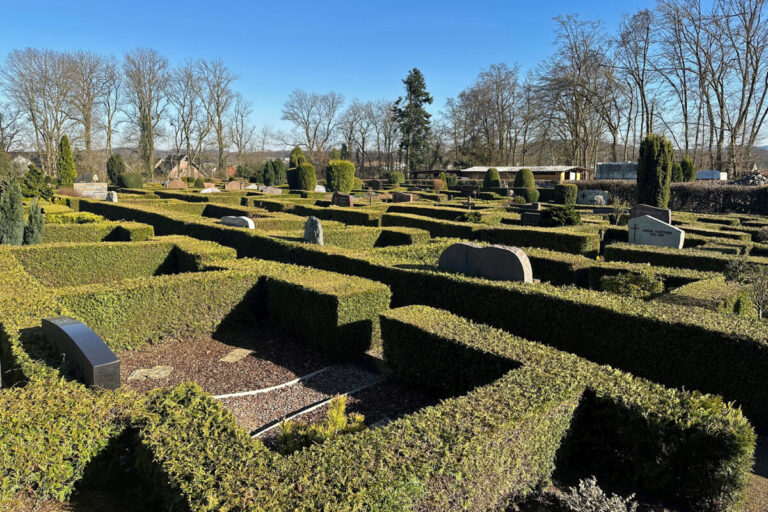 Soll eine neue Gestaltung ohne Hecken erhalten: der alte Teil des Friedhofes im Stadtteil Harderberg.