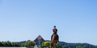 Vorbereitung auf Horses & Dreams à la Frederic Wandres: Mit Veuve Clicquot im Hagener Springstadion. / Foto: sportfotos-lafrentz.de