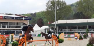 Horses & Dreams 2025