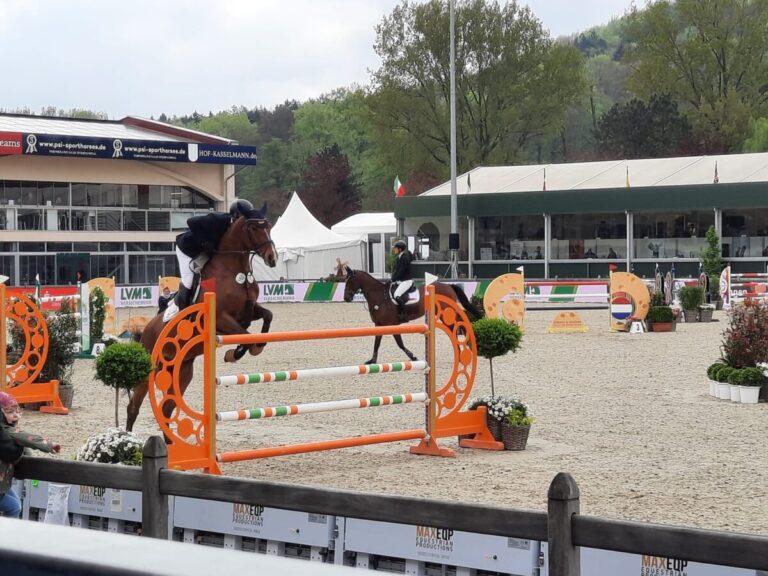 Horses & Dreams 2025