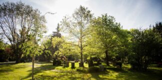 Heger Friedhof