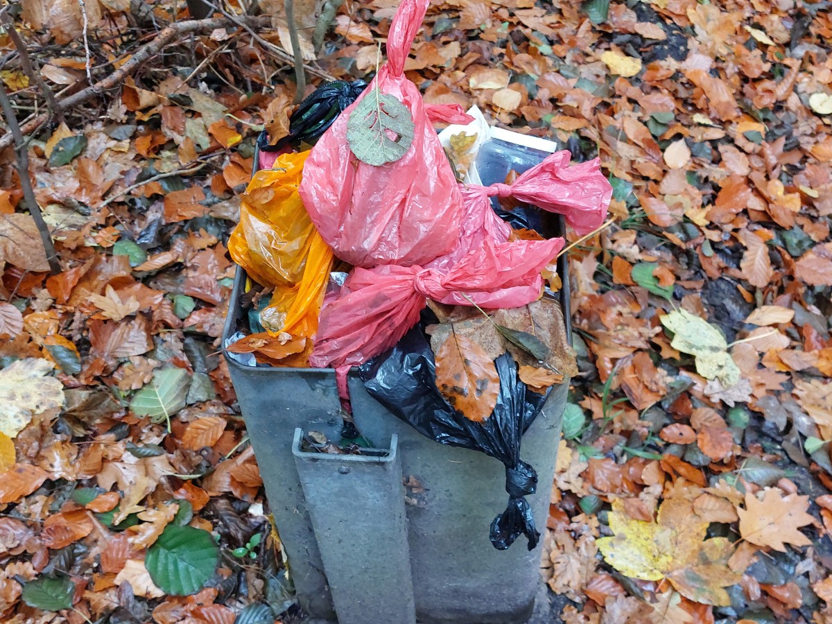 Mit Hundekot-Beutel überfüllter Mülleimer im Heger Holz.