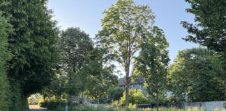 Im Wegrott (Osnabrück Schinkel)