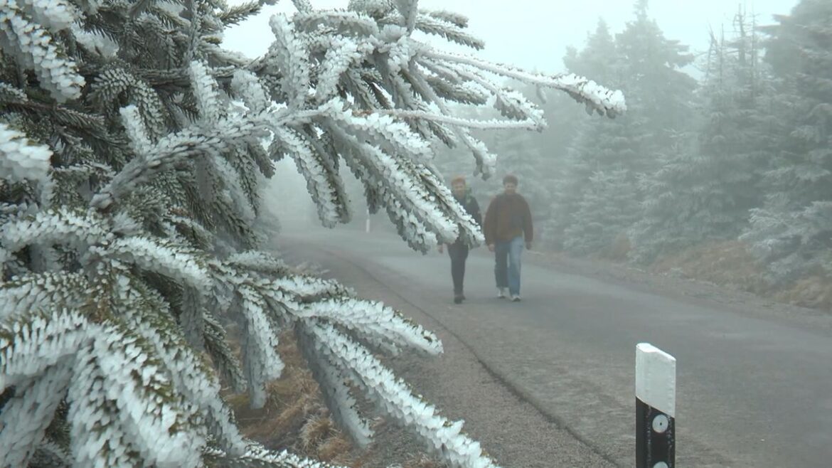 Wintereinbruch im März: Schnee und Frost in Deutschland