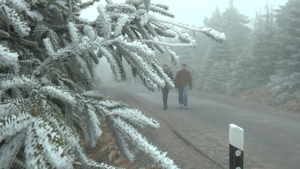 Wintereinbruch im März: Schnee und Frost in Deutschland