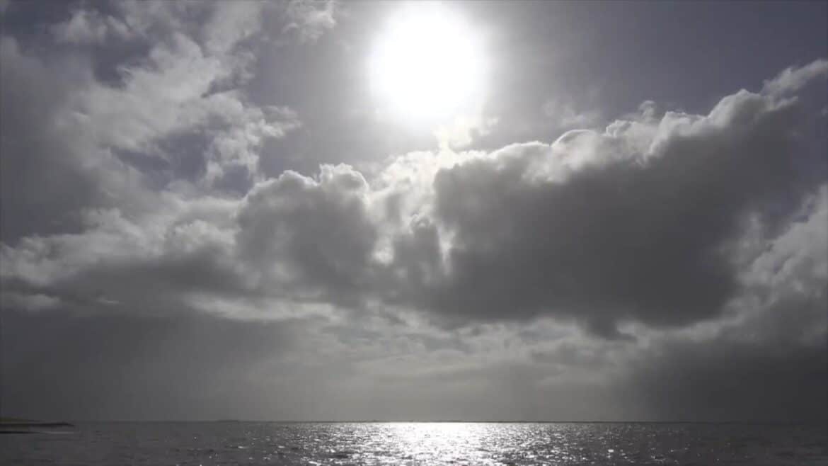 Frühling kommt zurück: Sonne und bis zu 19 Grad erwartet