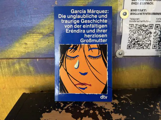 Ein Buch im Tauschhschrank bei der Buchhandlung zur Heide. / Foto: Dana Beckmann