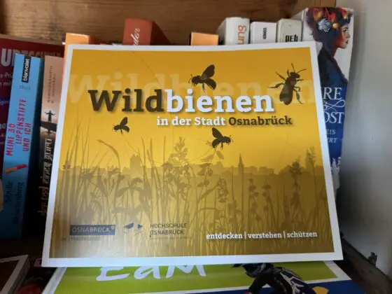 Ein Buch über Wildbienen im Tauschschrank beim Grünen Jäger. / Foto: Dana Beckmann