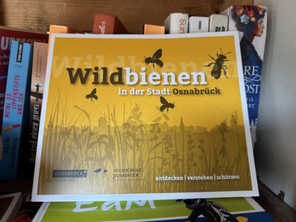Ein Buch über Wildbienen im Tauschschrank beim Grünen Jäger. / Foto: Dana Beckmann