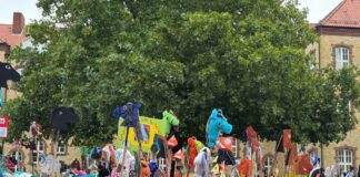 Viele bunte Pferde versammeln sich auf dem Schulhof der Domschule. / Foto: Dana Beckmann