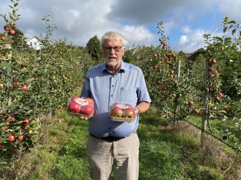 Prof. Dr. Werner Dierend im Herbst 2025 mit „Pompur“. Um Verwechslungen mit anderen Apfelsorten zu vermeiden, sind die allergikerfreundlichen Äpfel mit einer Plastikfolie geschützt. Da ihre Verträglichkeit für Allergiker*innen entscheidend ist, muss jede Vermischung ausgeschlossen werden. in Osnabrück (Gesamtstadt)