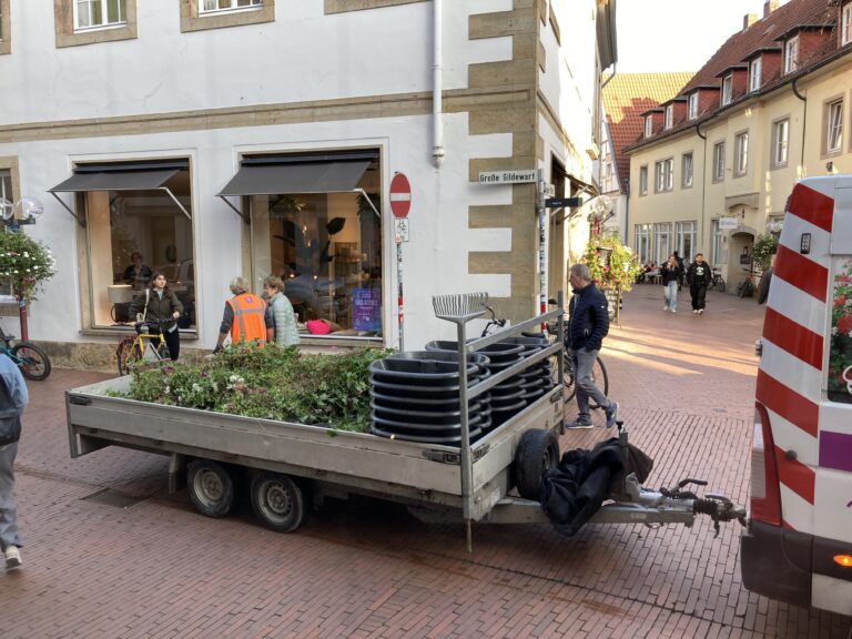 Blumenkübel werden in der Altstadt abgeholt. / Foto: Dominik Lapp