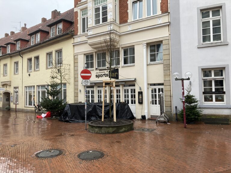 Neuer Baum in der Altstadt