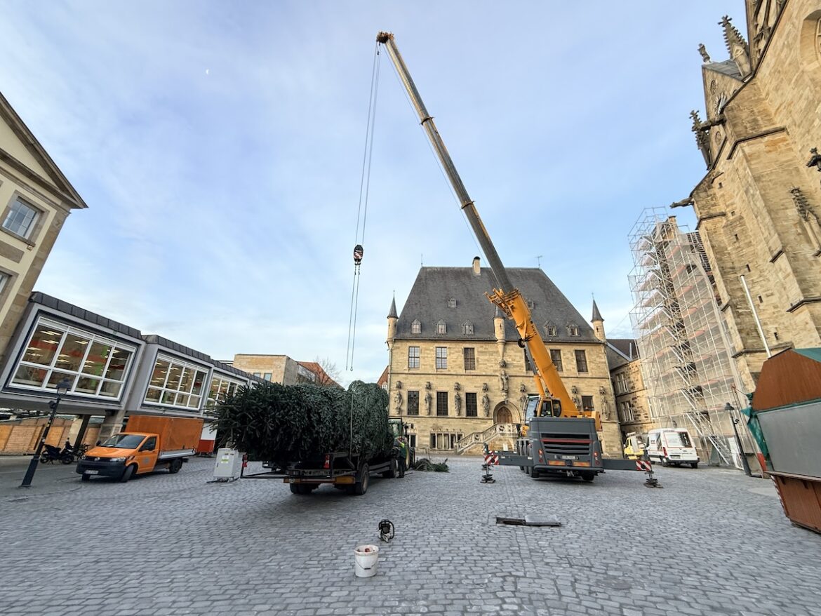 Weihnachtsbaum vor dem Rathaus wird aufgestellt