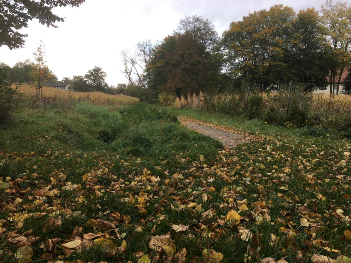 Güntkebach in Osnabrück. / Foto: Dominik Lapp